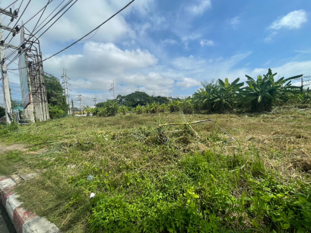 picture PRIME CORNER LAND FOR SALE IN CHIANG MAI, THAILAND - 7/7