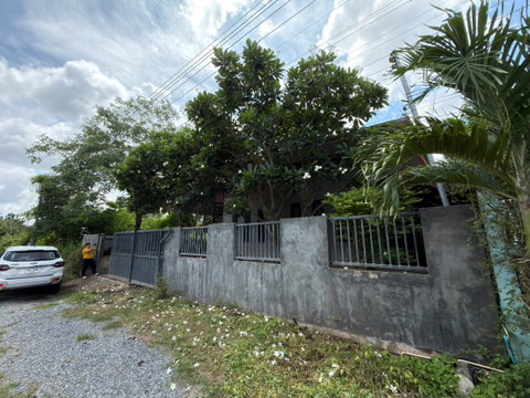 🔥 Urgent Sale! Garden home near Khon Kaen city, filled land, spacious garden, 4 bedrooms, 2 bathrooms, complete with covered parking!
