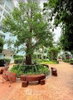 listing thumbnail image 11