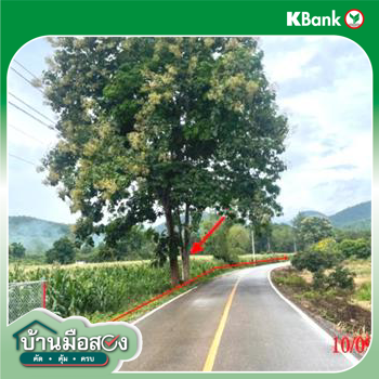picture LAND 5611 Sq.w. Li Lamphun for 3.9M - 19/21