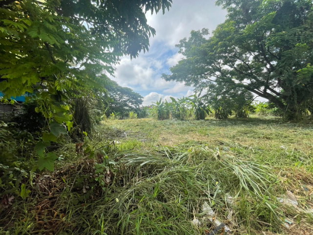 picture PRIME CORNER LAND FOR SALE IN CHIANG MAI, THAILAND - 6/7