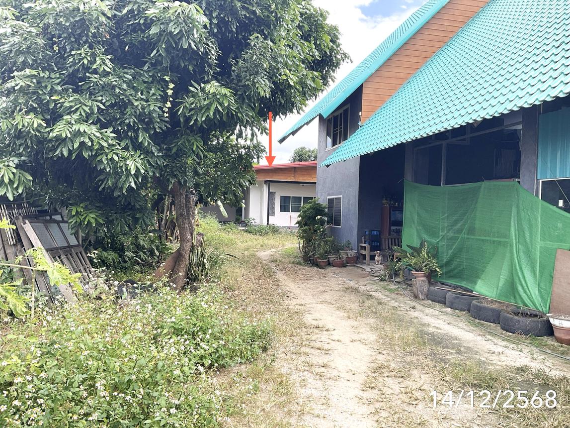 picture HOME 213 Sq.w. Wiang Pa Pao Chiang Rai for 6.5M - 10/15