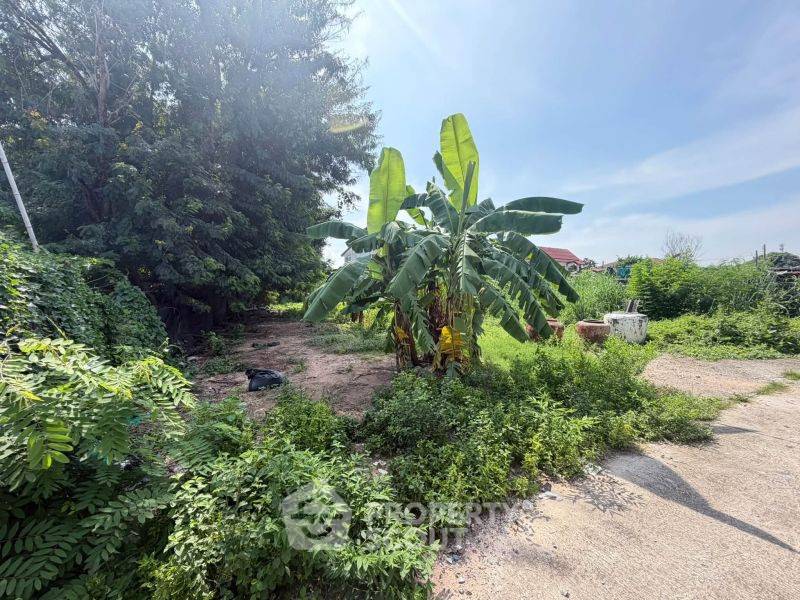 picture Land For Sale In Surasak, Si Racha, Chon Buri (ID 3429876) - 3/8