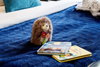 listing thumbnail image 61