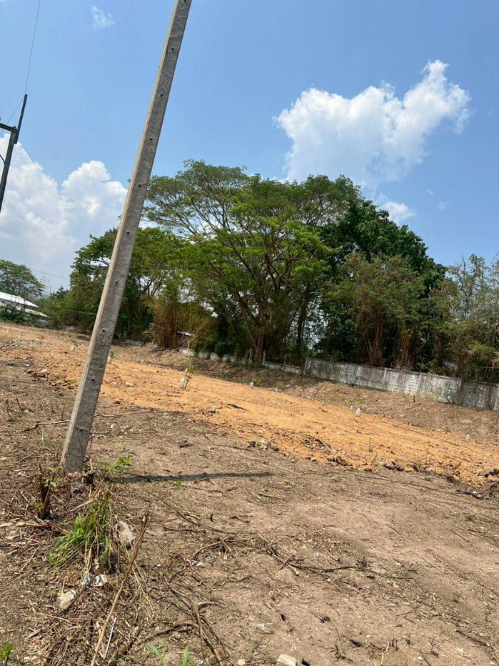 picture Filled Land Plot Mae Rim 162 sq.w. Near Dararassamee Hospital & Mae Rim District Office (ID:277LS) - 6/10