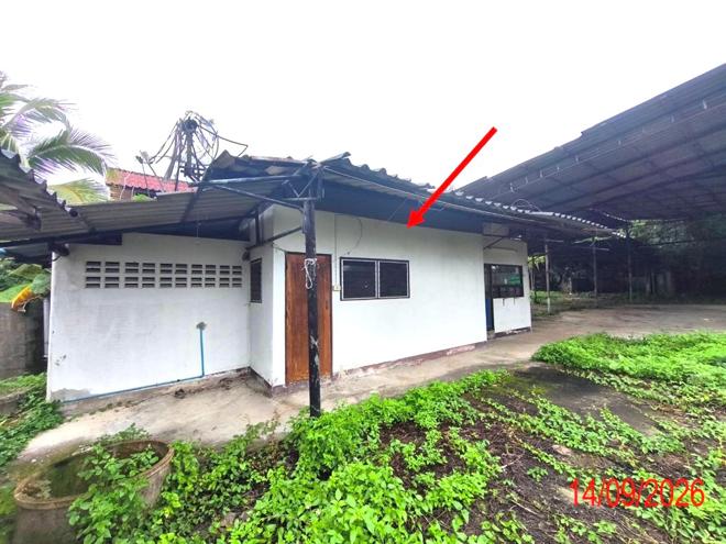 picture HOME 493.9 Sq.w. Hang Chat Lamphang for 4M - 12/35