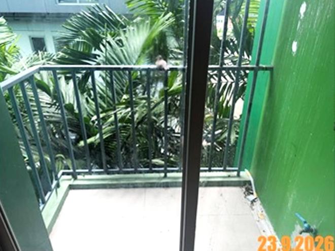 picture CONDO 32.95 Sq.m. Khan Na Yao Bangkok for 1.5M - 5/23