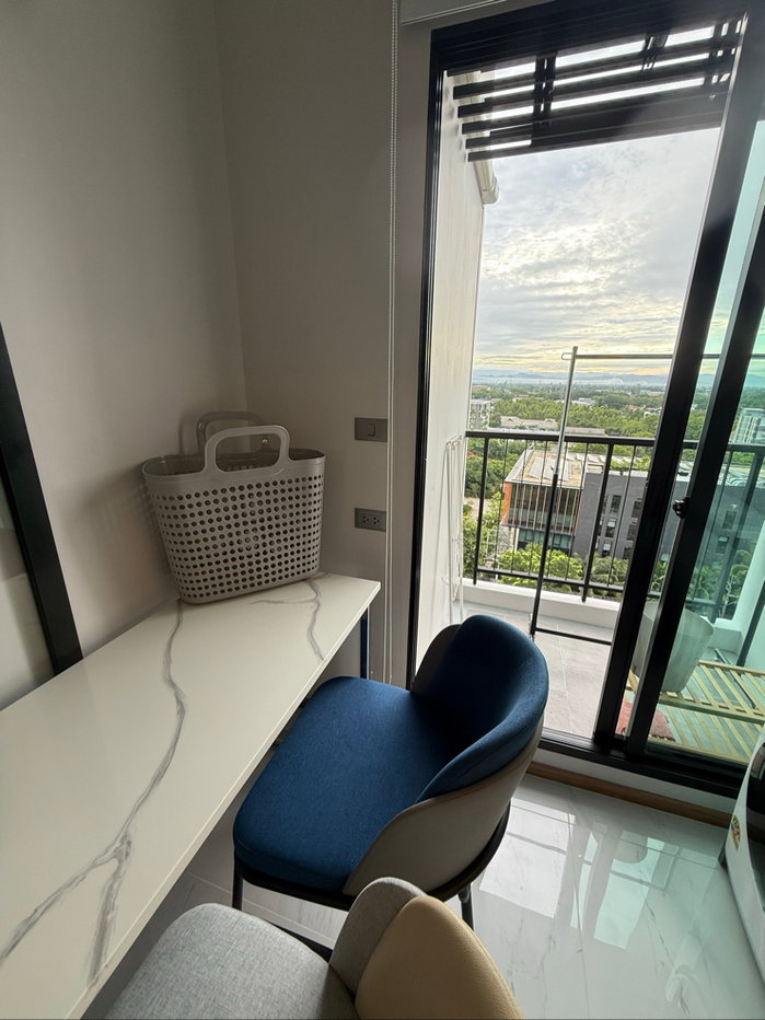 picture Provacy View and Treat Allergy - 7/29