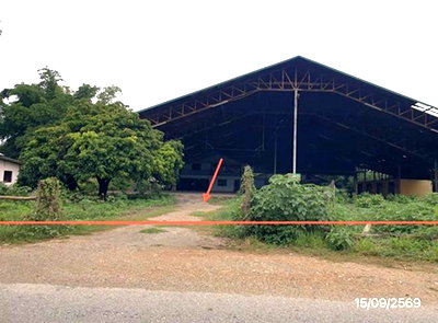 Factory for sale Wieng Nong long Lamphun : FACTORY 3876 Sq.w. Wieng Nong long Lamphun for 11.3M