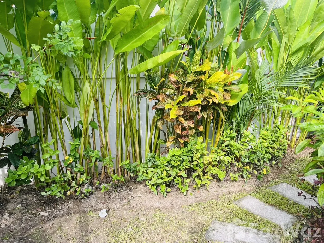รูป บ้านเดี่ยวให้เช่า 3 ห้องนอน ในโครงการ สุริยพรเพลส 6881253 - รูปที่ 17/30