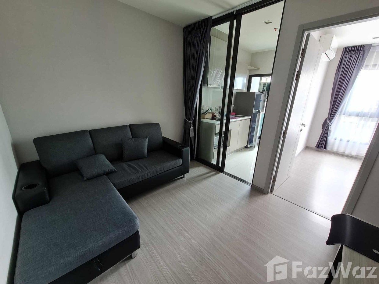 รูป ขาย คอนโด 1 ห้องนอน ในโครงการ ไลฟ์ สุขุมวิท 62 1654956 - รูปที่ 1/8