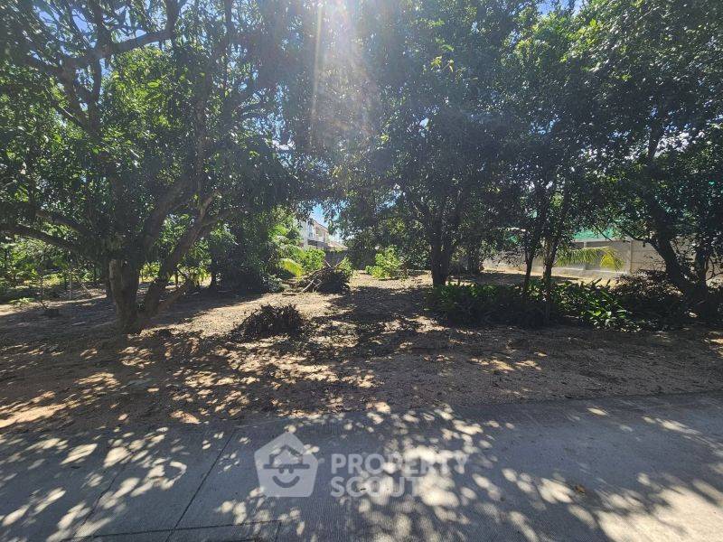 picture 800 m² Land for Sale in Surasak (ID 3442073) - 5/10