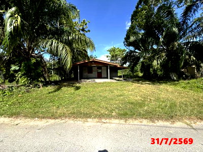 Houses for sale Surat Thani : HOME 174 Sq.w. Wiang Sa Surat Thani for 1.5M