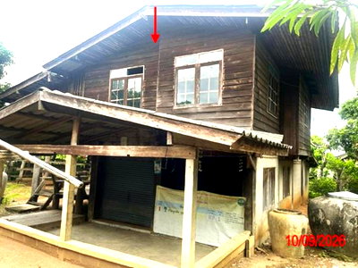 บ้านเดี่ยว ลำพูน : บ้านเดี่ยว 182.2 ตร.วา ลี้ ลำพูน 339,000