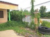 listing thumbnail image 24