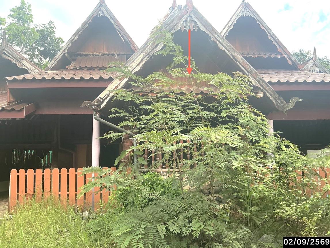 รูป บ้านเดี่ยว 400 ตร.วา นามน กาฬสินธุ์ 2.5M - รูปที่ 28/37