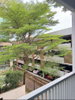 listing thumbnail image 11