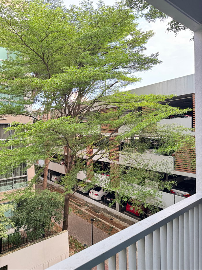 รูป ให้เช่า Aspace condo สุขุมวิท77 - รูปที่ 12/14