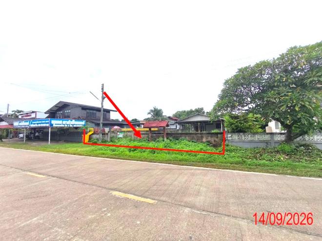 picture HOME 493.9 Sq.w. Hang Chat Lamphang for 4M - 16/35