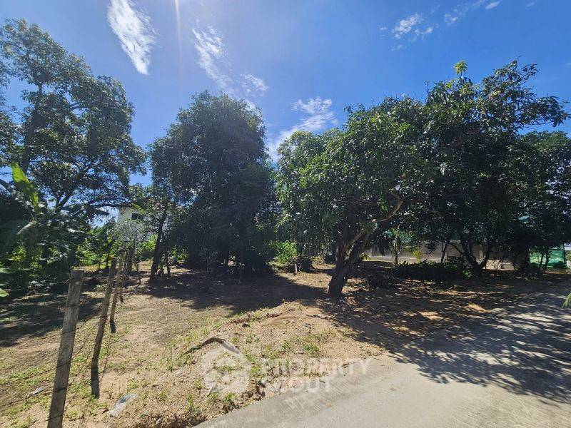 picture 800 m² Land for Sale in Surasak (ID 3442073) - 3/10