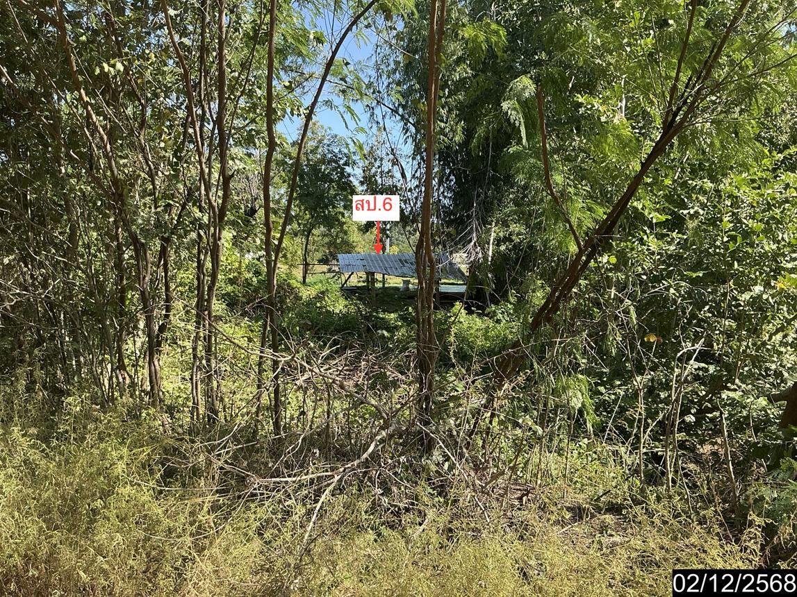 picture HOME 1838 Sq.w. Non Daeng Nakhon Ratchasima for 7.2M - 16/25