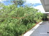 listing thumbnail image 34