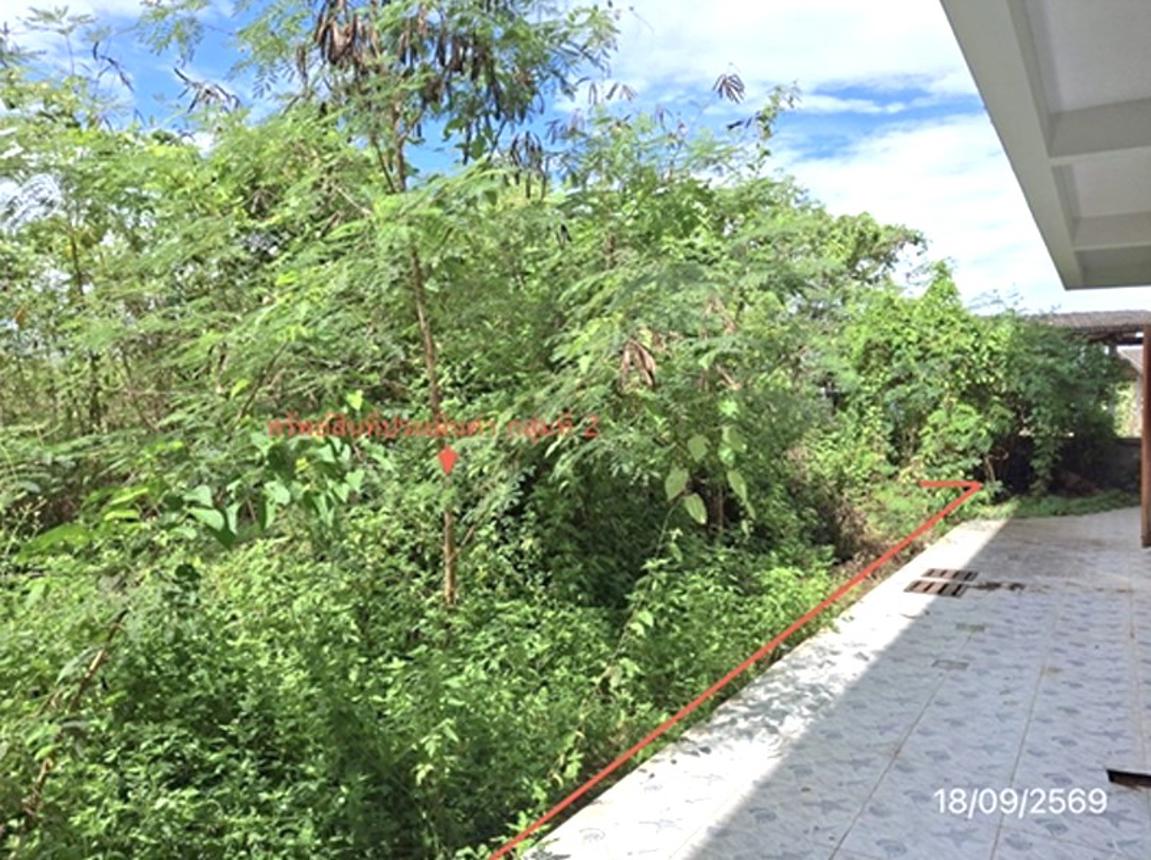 picture SHOP HOUSE 235 Sq.w. Sri Nakarin Phatthalung for 4M - 35/43