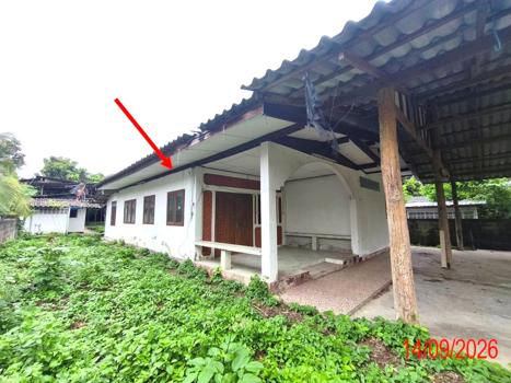picture HOME 493.9 Sq.w. Hang Chat Lamphang for 4M - 32/35