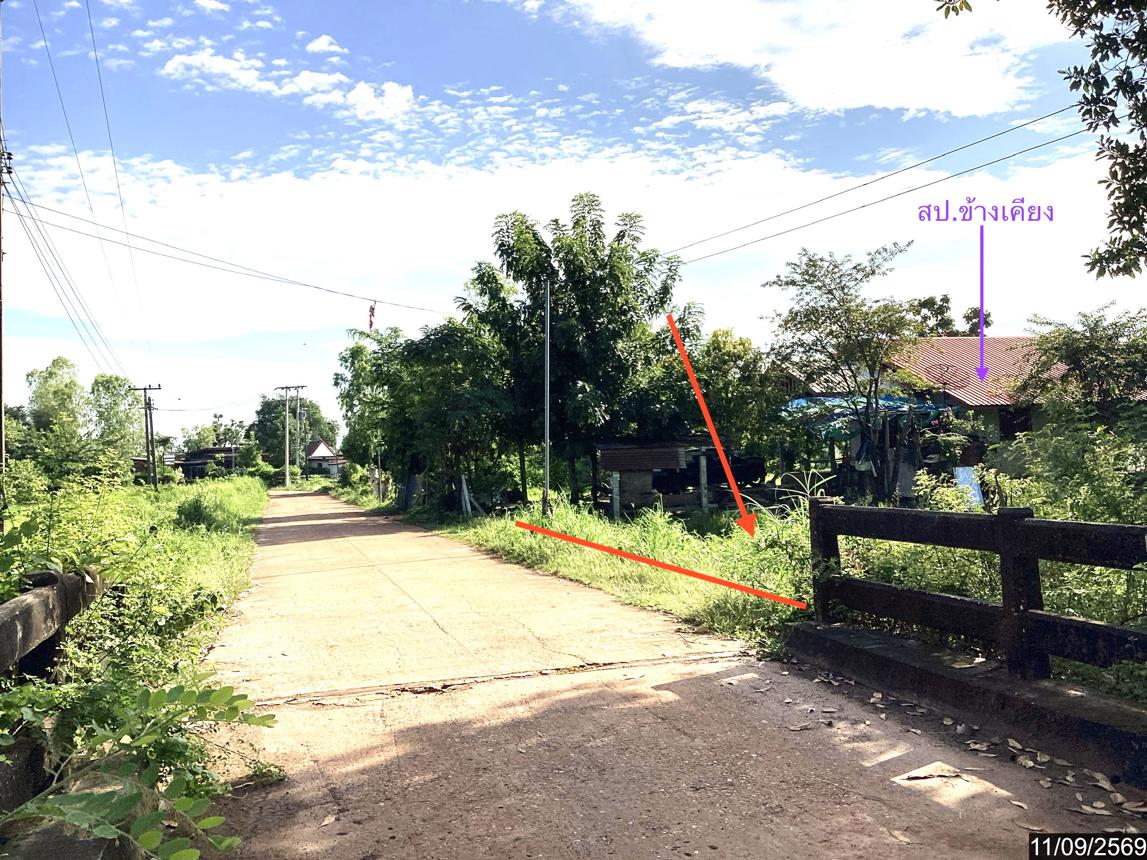 picture LAND 1223 Sq.w. Phang Khon Sakon Nakhon for 1.1M - 16/21