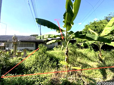 Houses for sale Singburi : HOME 228.9 Sq.w. Bang Rachan Singburi for 1.7M