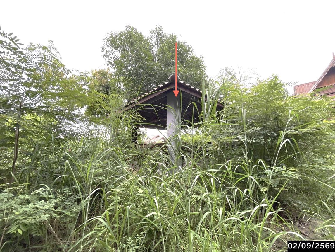 รูป บ้านเดี่ยว 400 ตร.วา นามน กาฬสินธุ์ 2.5M - รูปที่ 30/37