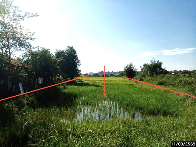 picture LAND 1223 Sq.w. Phang Khon Sakon Nakhon for 1.1M - 6/21