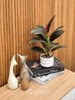 listing thumbnail image 7