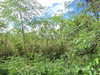 listing thumbnail image 37