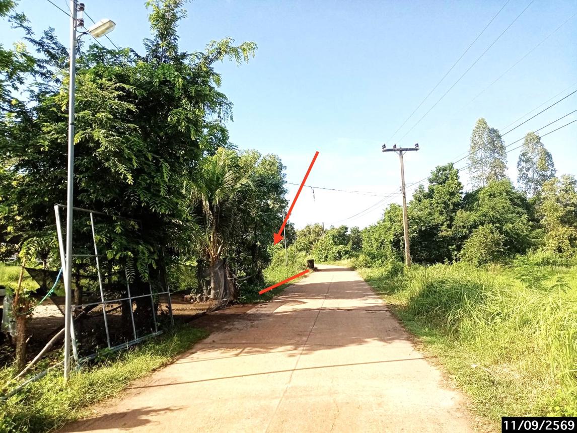 picture LAND 1223 Sq.w. Phang Khon Sakon Nakhon for 1.1M - 17/21