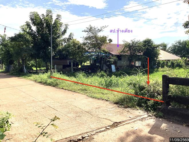 picture LAND 1223 Sq.w. Phang Khon Sakon Nakhon for 1.1M - 2/21