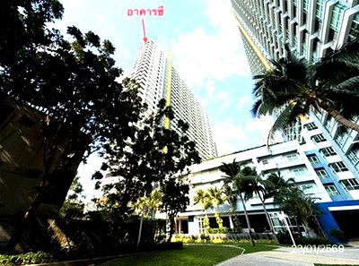 Condos for sale : CONDO 28.86 Sq.m. Bang Lamung Chonburi for 2.3M