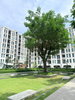 listing thumbnail image 18