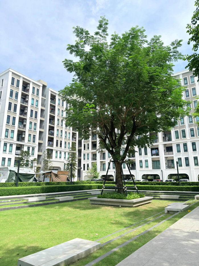 รูป ให้เช่า Aspire อโศก-รัชดา 🌟1bedroom 🌟 - รูปที่ 19/19