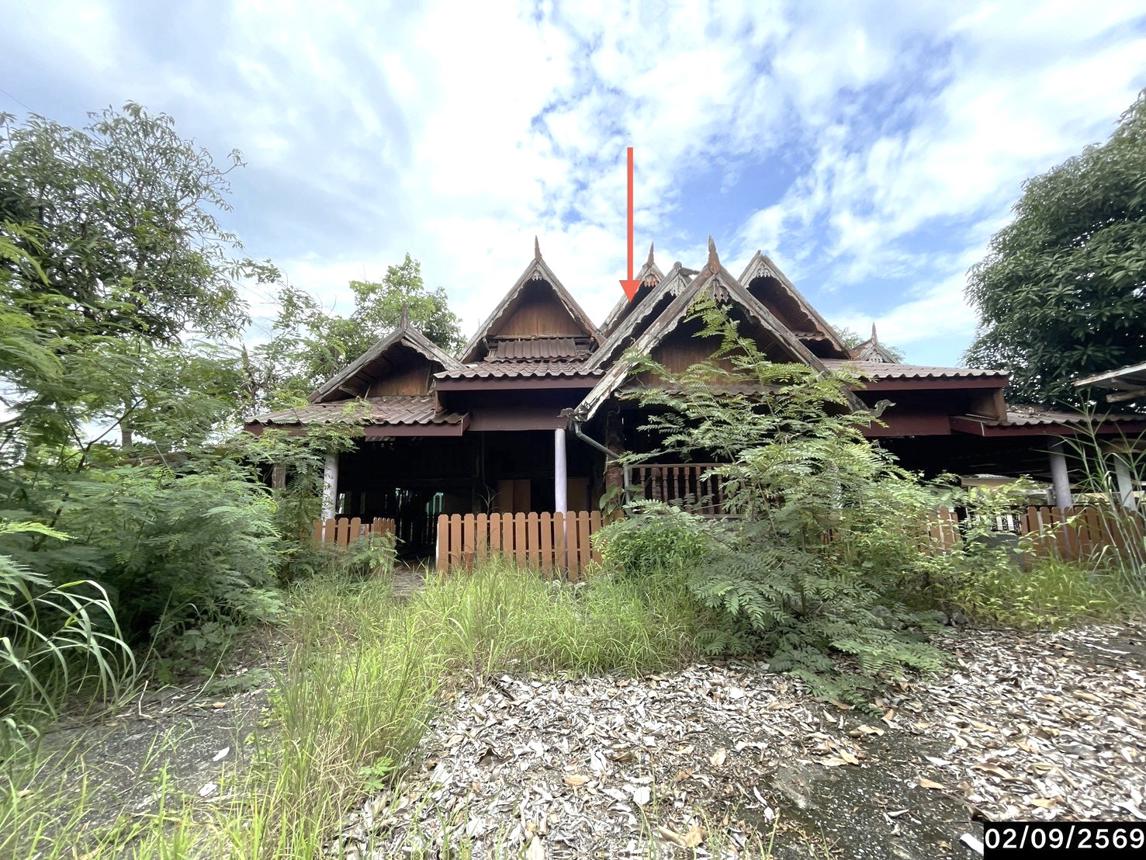 รูป บ้านเดี่ยว 400 ตร.วา นามน กาฬสินธุ์ 2.5M - รูปที่ 19/37