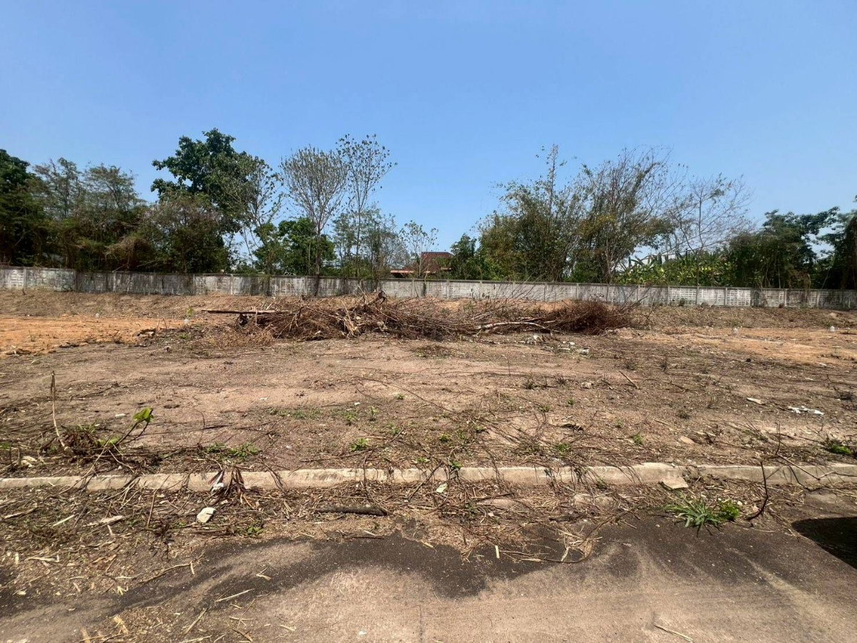 picture Filled Land Plot Mae Rim 162 sq.w. Near Dararassamee Hospital & Mae Rim District Office (ID:277LS) - 3/10