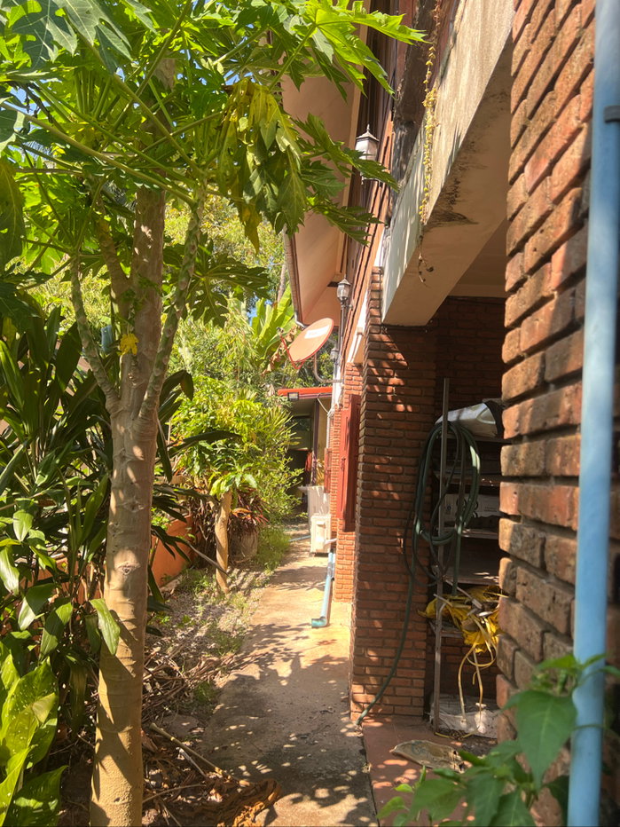 รูป ขายบ้านเรือนไทย พร้อมที่ดิน อ.เชียงดาว จ.เชัยงใหม่ - รูปที่ 10/34
