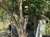 listing thumbnail image 14