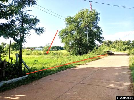 picture LAND 1223 Sq.w. Phang Khon Sakon Nakhon for 1.1M - 18/21