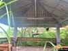 listing thumbnail image 30