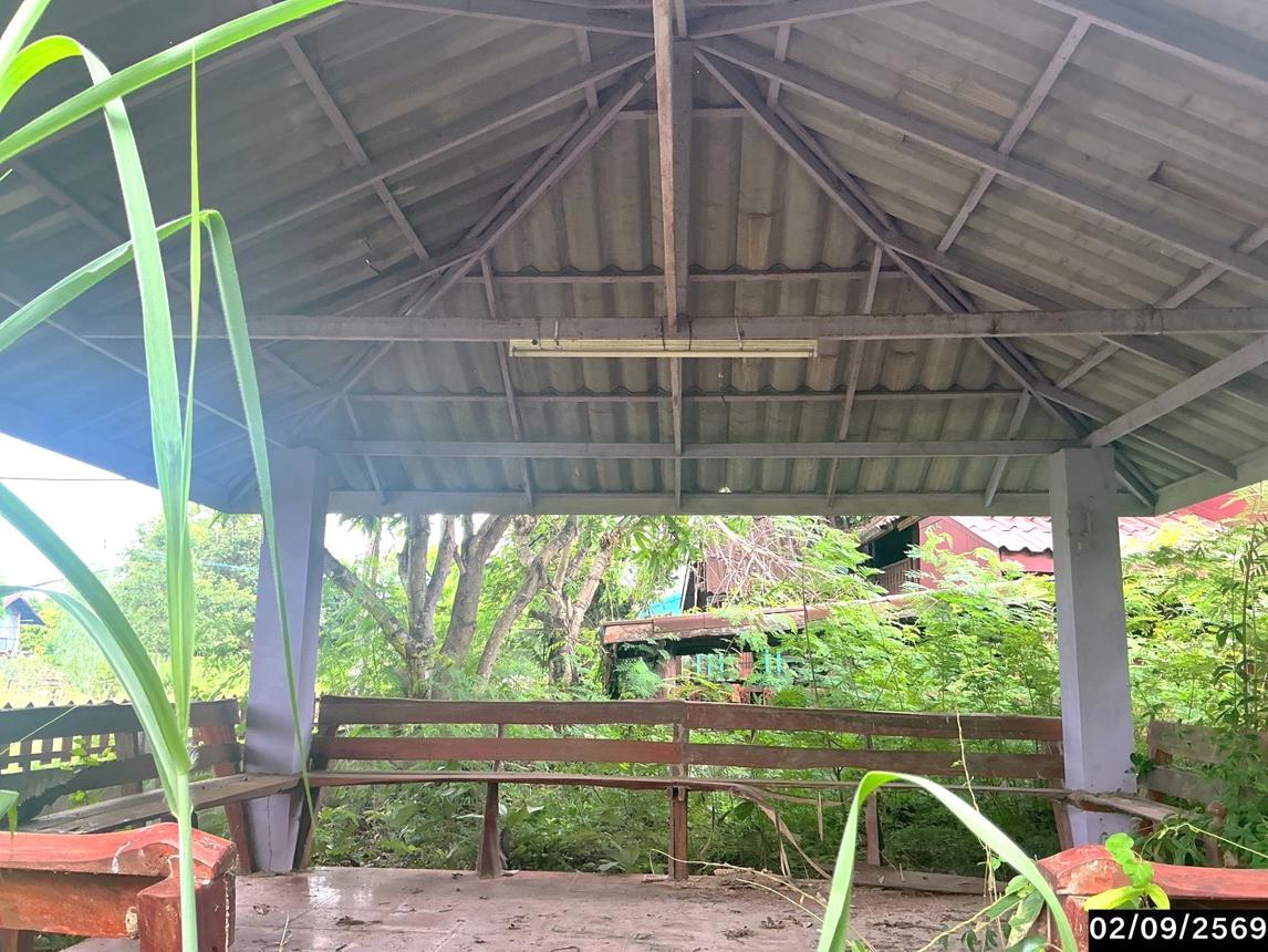รูป บ้านเดี่ยว 400 ตร.วา นามน กาฬสินธุ์ 2.5M - รูปที่ 31/37