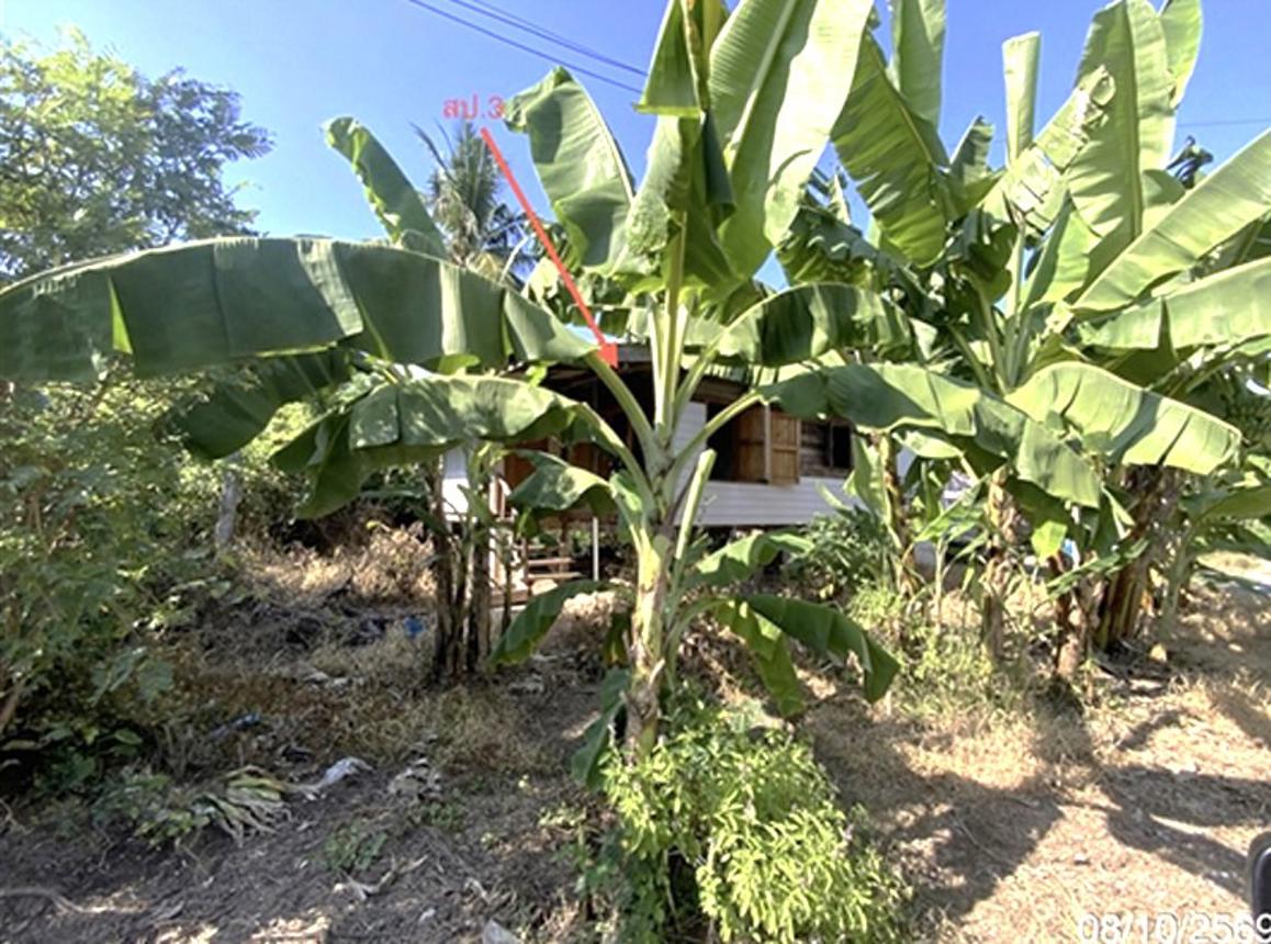 picture HOME 228.9 Sq.w. Bang Rachan Singburi for 1.7M - 9/17