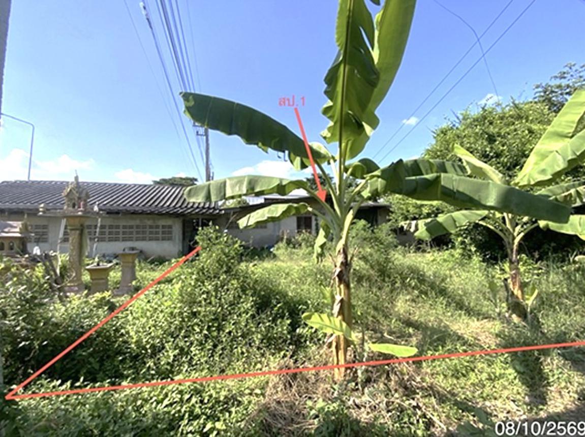 picture HOME 228.9 Sq.w. Bang Rachan Singburi for 1.7M - 8/17
