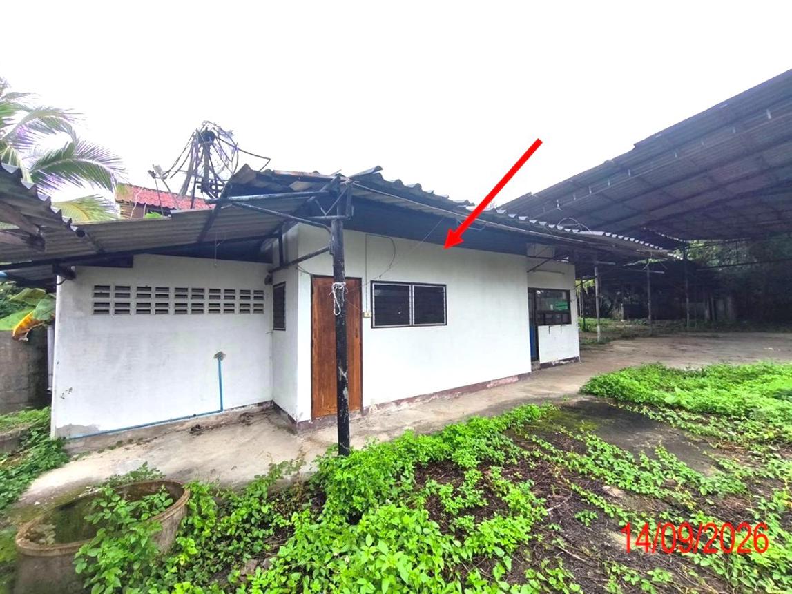 picture HOME 493.9 Sq.w. Hang Chat Lamphang for 4M - 27/35