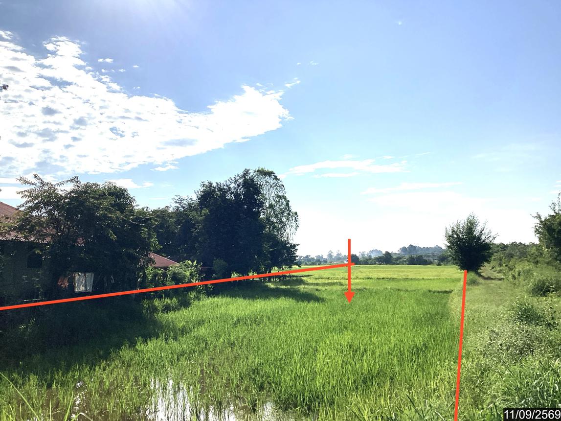 picture LAND 1223 Sq.w. Phang Khon Sakon Nakhon for 1.1M - 12/21